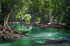 Digital Image Picture Photo Pic Wallpaper Background Stream Meadows Lake Waters