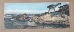Lg J.M. Garrison Tinted Oil Color Photo Ostrich Tree Monterey 23″x 13.5” VGC
