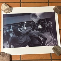 Janine Gordon Photograph 60″x24″ C-print Edition Grid Bike Kill Signed Fine Art