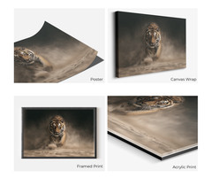 Running Tiger Wall Art, Modern Wildlife Animal Decor, Nature Photography Canvas