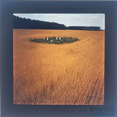 Vtg 60s Richard Stacks Ektachrome Slide Graveyard Field Mardela Route 50 MD