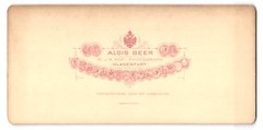 Stereo photography Alois Beer, Klagenfurt, view of Salzburg, view of the Mirabe