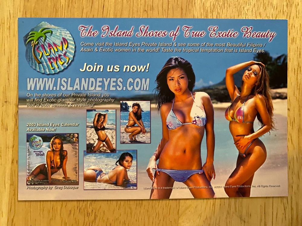 AIKO TANAKA SEXY 4 X 6 PROMO POSTCARD MODEL