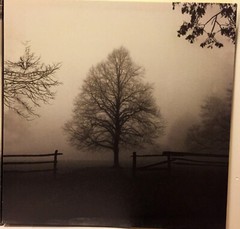 Set of 3: Black and White Landscape Framed Photo Prints on Canvas. 12″ x 12″