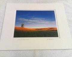 Winter Light, Kansas Flint Hills by James Nedresky Fine-Art Photographs