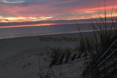 Sunrise or Sunset Photo, Pick One Image – Various Sizes