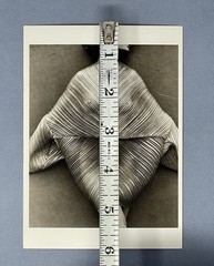 Herb Ritts Art Photo Print Card Fotofolio Fashion 4”x6” Wrapped Torso