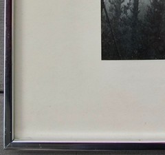 Robert (Bob) Werling 1976 Photograph Of Light In Forest Pencil Signed In Frame