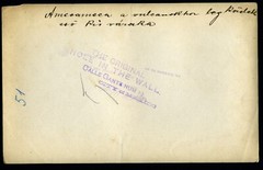 Larger size C. B. WAITE photo, MEXICO, Amecameca and Iztaccihuatl, Vintage fine