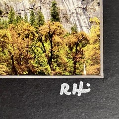 YOSEMITE FALLS by Robb Hirsch (Biologist-Nature Photographer) / Matted to 8×10