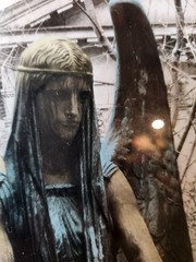 Original Hand-colored Photography By Garry Seidel, «Dark ANGEL» #17/195