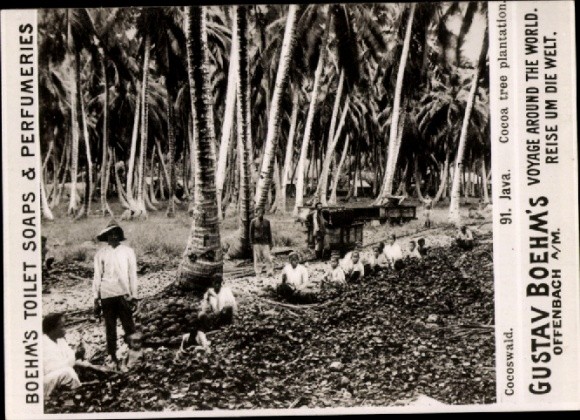 Photo Java Indonesia, Coconut Forest, Advertising Gustav Boehm’s Toilet Soaps – 11088109