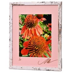 MICHAEL RAY Original Vintage Signed Long Island NY Floral Still Life Photograph