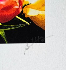 Art Photography Color Image Flowers Tulips 8 1/2″ X 11″ Processed Effect