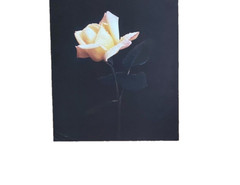 Large Yellow Flower Art Print Original Vintage 1980’s 16″X 21″ #2