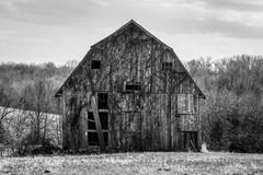 Barn Photography Print: Missouri Black & White Farm Rustic Country Rural Photo