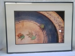 «Birdbath with Leaves» Framed Photograph by Gary Carlson