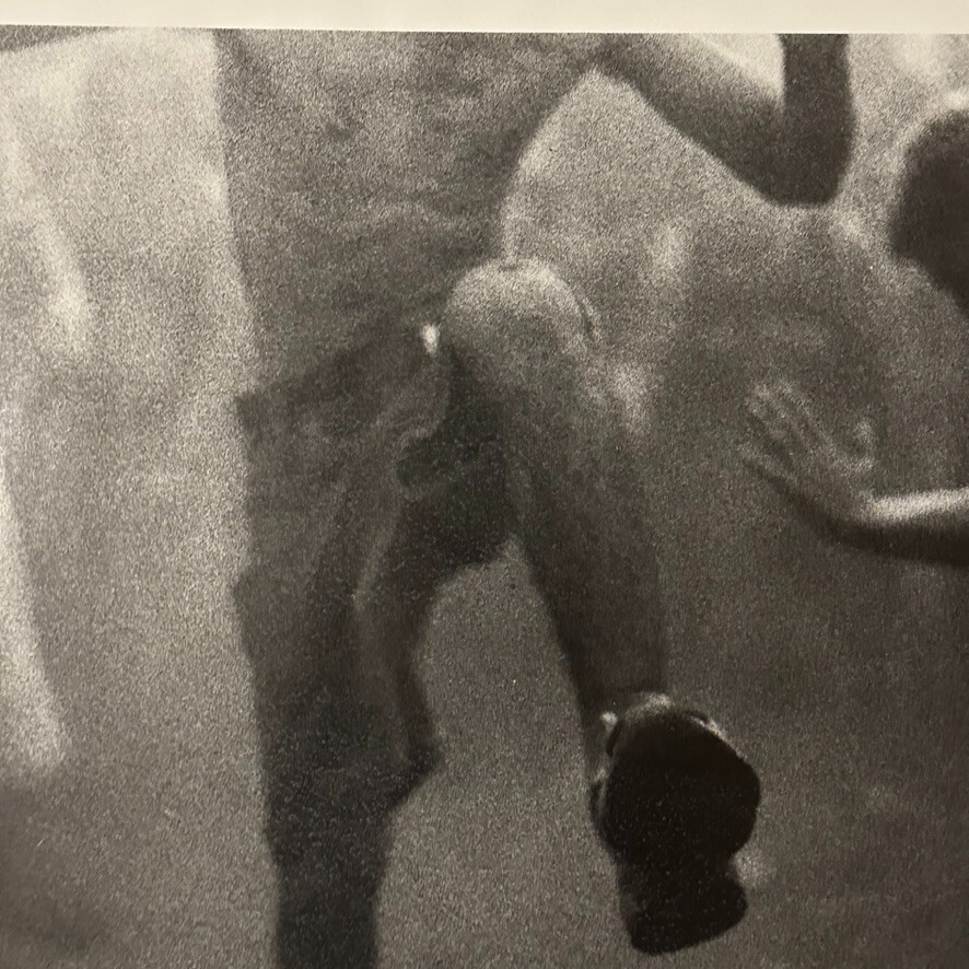 Janine Gordon Photograph Mosh Pit 20″x24″ Print Randalls Island Whitney Museum