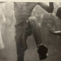 Janine Gordon Photograph Mosh Pit 20″x24″ Print Randalls Island Whitney Museum