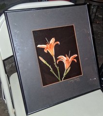 Cibachrome ART PRINT Signed & Framed Print Tony Festa RARE