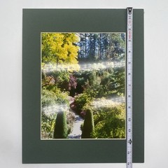 Matted Flower Garden Landscape Photo Print 11 X 14 Wall Art Gallery Decor