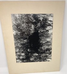 Vtg Matted Black & White Photography Whale Nature Pacific NW Photo 16” x 20”