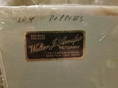 VTG Photograph in Plastic of a Field of California Poppies by Walter Arrufat R