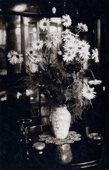 Larger size Vintage fine art Photograph, still life w flowers, 1920’s