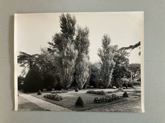 Jean Dieuzaide Original Photo Art Photography 1970 Toulouse XXe Garden Stamp