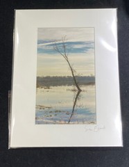 Susan Edwards Photography 5″ x 8″ Signed & Matted 11″ x 8.5″
