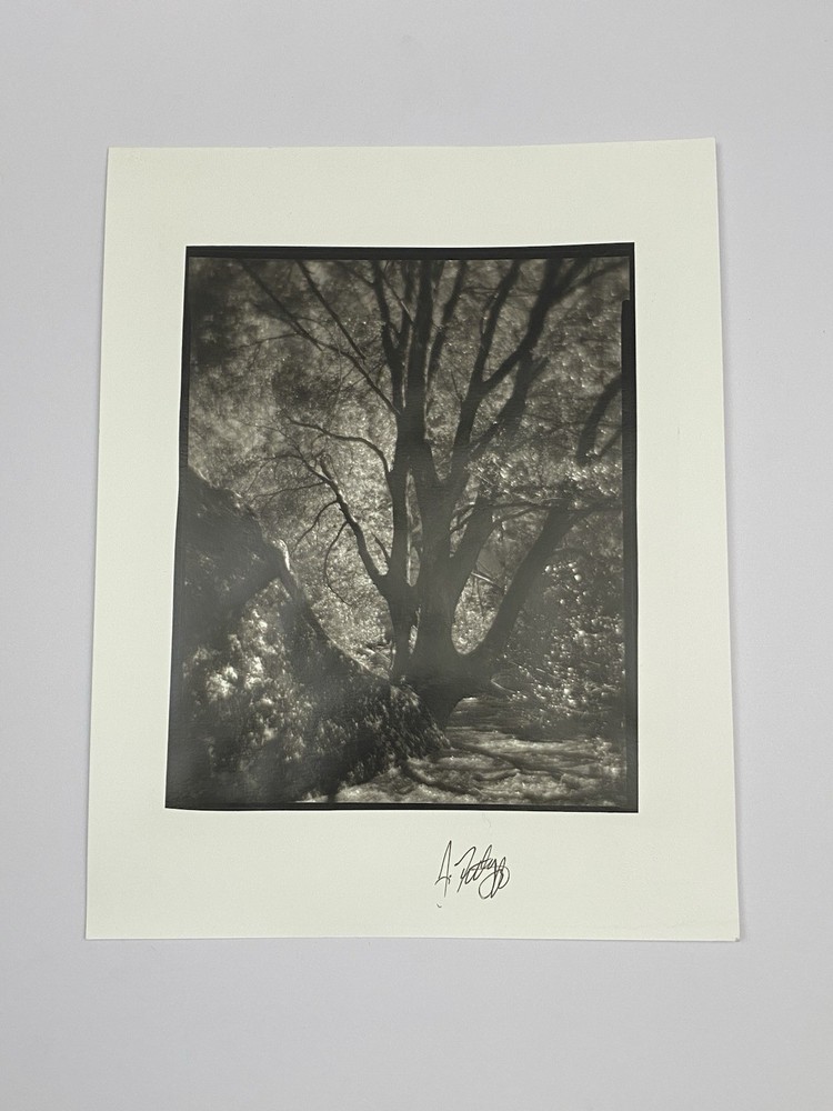Jim Fitzgerald Untitled Photo Signed Photograph Carbon Transfer