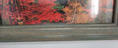 Framed Fall Color Trees, Rocks, and River Photograph Print 10.5″x12.5″