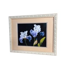 A. Bush Purple Irises Floral Art Print Photography Framed 15.5″ EUC GIFT Decor