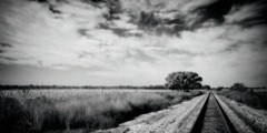 Fine Art Print, Black and White Photography, 9×18, Tracks, signed and numbered