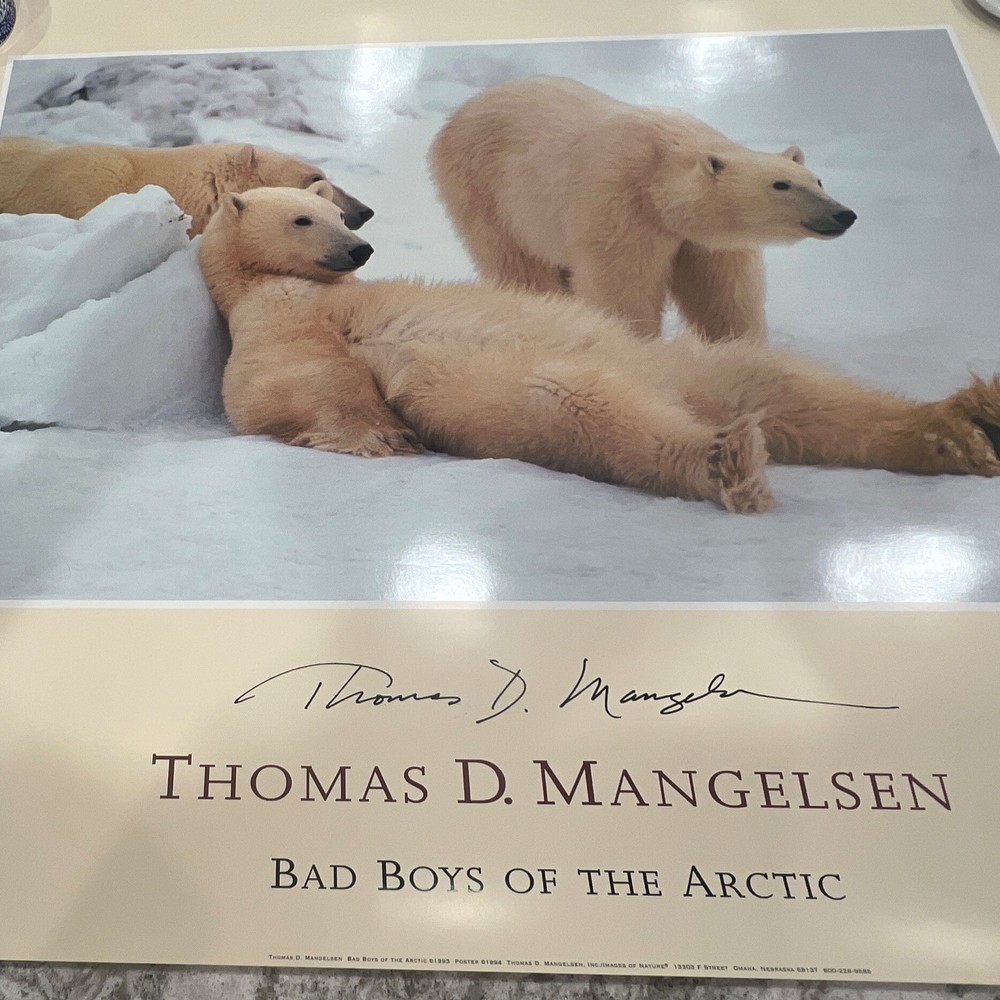 Thomas D. Mangelsen Signed Color Landscape Photo «Bad Boys of the Arctic»
