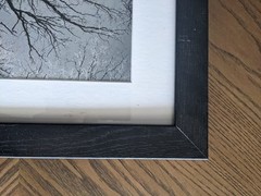 Original Black and White Photography, Nature, Tree, Custom 11×19