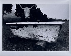 Wolf Von Dem Bussche – From The Peaceable Kingdom c.1971 (LHi01)