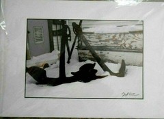 Maine Coastal Anchor in Snow Photograph by Debi H… 19X13 Mat