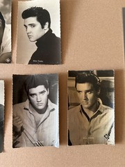 7x Elvis Presley Hummingbird Photo Card Vintage The King Postcard Post Card