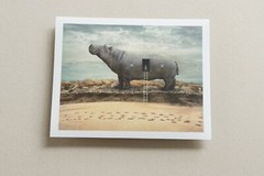 Signed ORIGINAL Animal Art Folio of Hippos Elephants Giraffe Camel & Fish Prints
