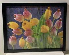Ann Geddes, Original Rare Laminated And Framed Poster # 2300/8414 (No Glass).