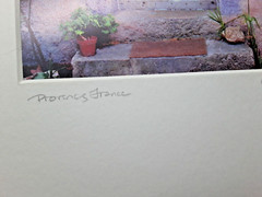 Catherine Archuleta Photograph Provence France SIGNED Pink House Roses + Purple