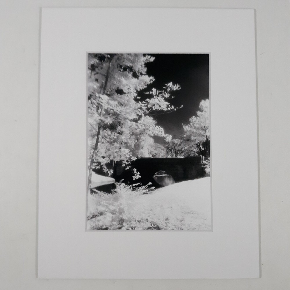 White Mat Photo Landscape Park Infrared Photography Bridge Trees Art Print