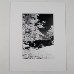 White Mat Photo Landscape Park Infrared Photography Bridge Trees Art Print