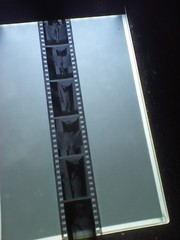 Vintage Negatives Lot of 38 «Lady Getting Dressed» Sexy Shots