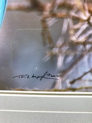 Jewel of The Serengeti by Thomas D. Mangelsen. Signed. Numbered. Personal Gift.