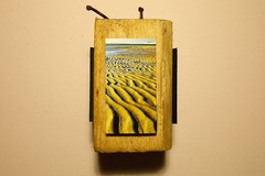 Driftwood Mounted Seascape – Cape May, New Jersey Lighthouse