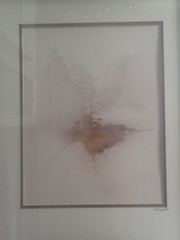 Art Photography High Quality Print Signed Matted Wood Framed Vint Excellent