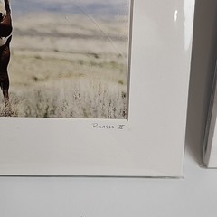 Horse Photograph Lot of 3 Equestrian Caroline Christie Signed Matted