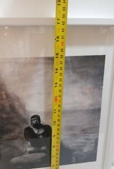 Andrea Alessio Animal Photo Wall Art Gorilla Zoo Framed Print Picture